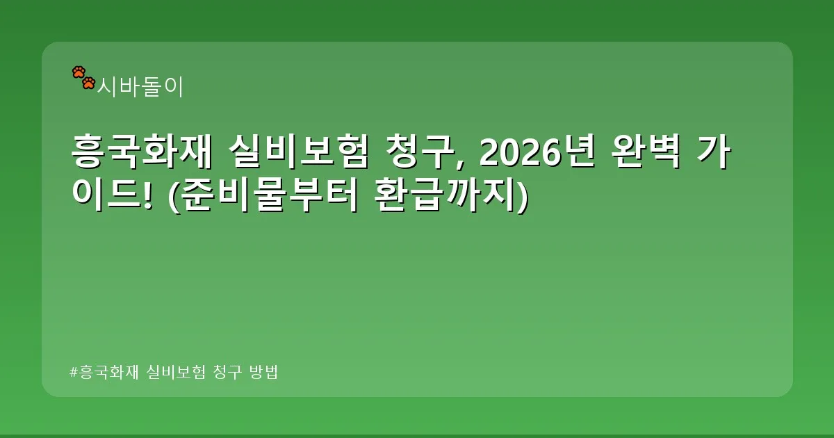 흥국화재 실비보험 청구 방법 - didckswh.co.kr 캐릭터